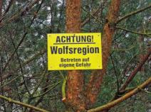Wölfe in Niedersachsen